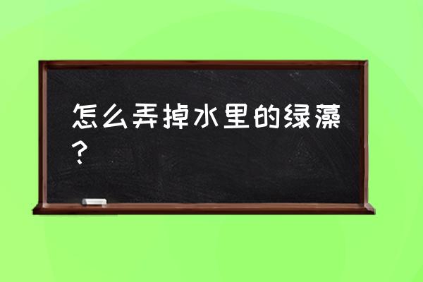 微生物世界怎么快速升级 怎么弄掉水里的绿藻？