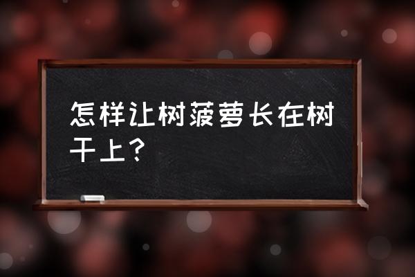 凤梨树长多高最好 怎样让树菠萝长在树干上？