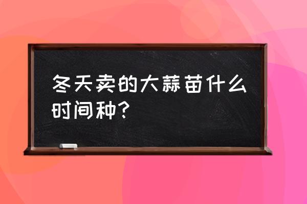 冬天室内如何种蒜 冬天卖的大蒜苗什么时间种？