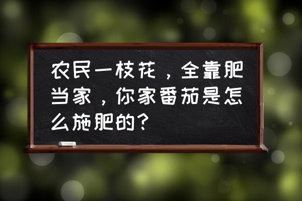 植物怎么施肥 农民一枝花，全靠肥当家，你家番茄是怎么施肥的？