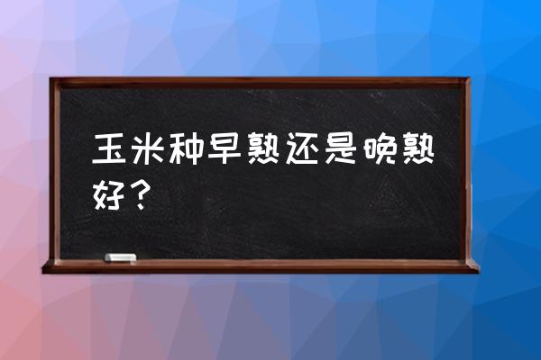 玉米早中晚哪个时段吃最好 玉米种早熟还是晚熟好？