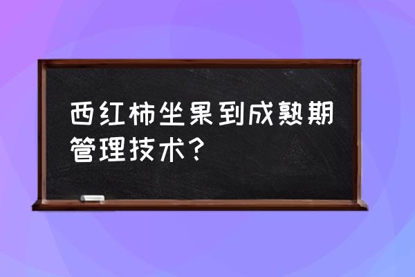 西红柿结果了要不要经常浇水 西红柿坐果到成熟期管理技术？