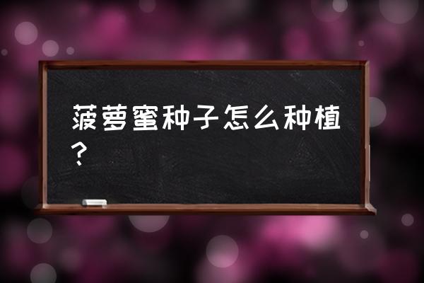 菠萝蜜种子种植方法 菠萝蜜种子怎么种植？