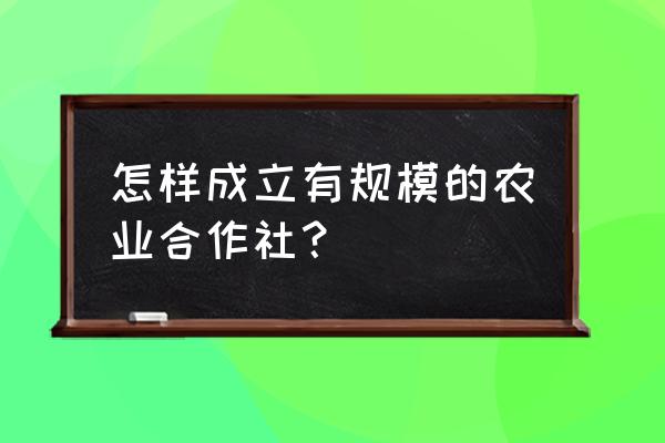 怎样才能把农民专业合作社做大 怎样成立有规模的农业合作社？