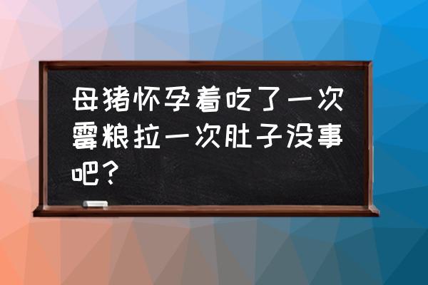 母猪拉稀怎么解决 母猪怀孕着吃了一次霉粮拉一次肚子没事吧？