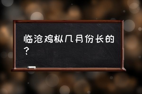 临沧几月份去最好 临沧鸡枞几月份长的？