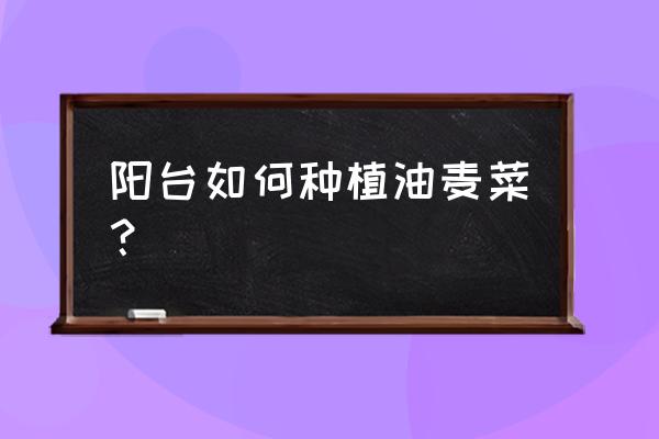 阳台种油麦菜的方法和步骤 阳台如何种植油麦菜？