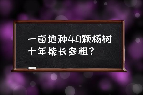 三至五年杨树管理方法 一亩地种40颗杨树十年能长多粗？