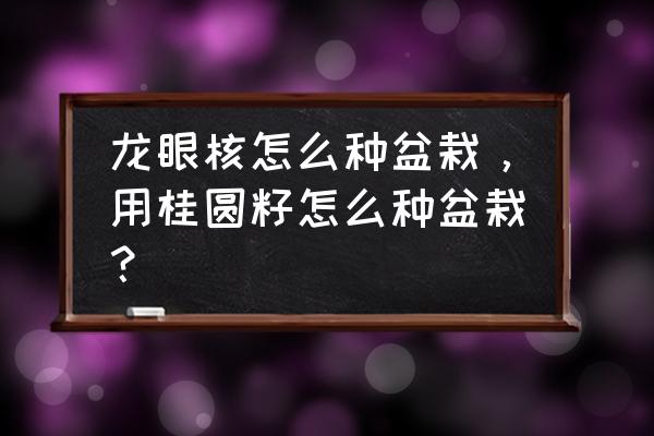 家中盆栽桂圆的养殖方法和技术 龙眼核怎么种盆栽，用桂圆籽怎么种盆栽？