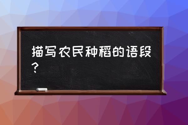 比喻稻田的优美句子 描写农民种稻的语段？