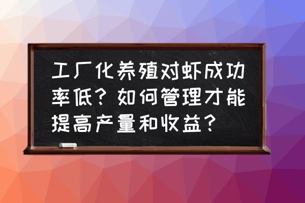 室内25度海水养殖对虾成功率高吗 工厂化养殖对虾成功率低？如何管理才能提高产量和收益？