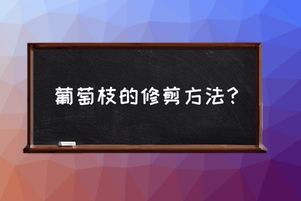 葡萄修剪的正确方法和时间 葡萄枝的修剪方法？