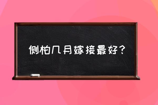 侧柏嫁接的最佳时机 侧柏几月嫁接最好？