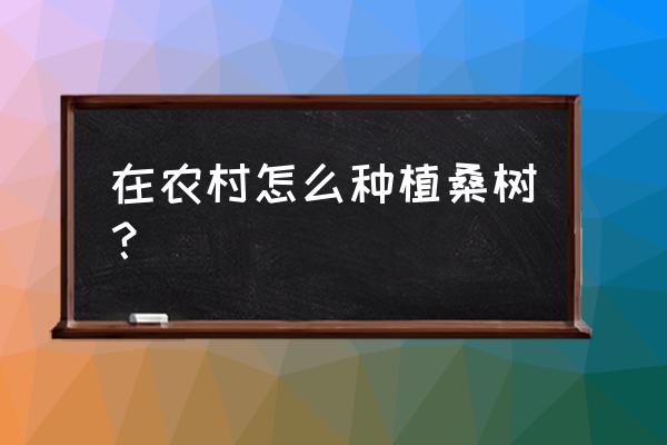 制作桑树全过程 在农村怎么种植桑树？