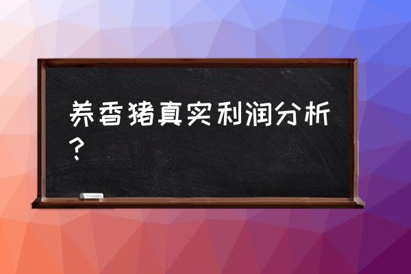 香猪养殖成本和销售 养香猪真实利润分析？