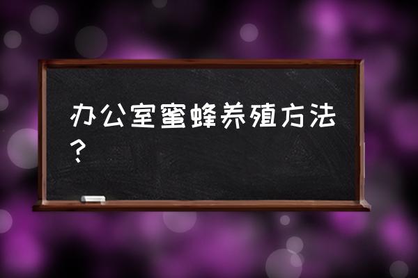 蜜蜂好养吗该怎么养 办公室蜜蜂养殖方法？