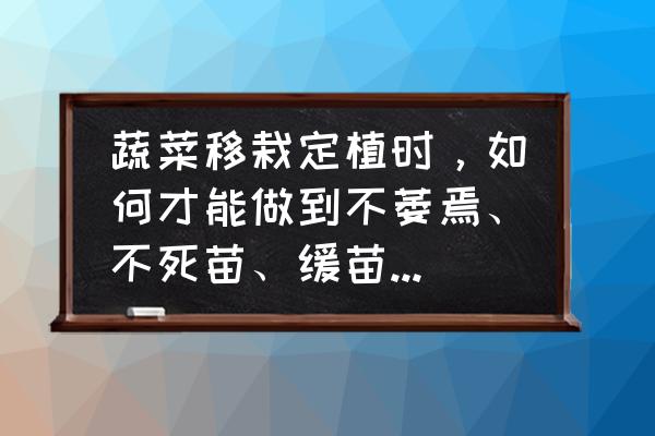 怎样移栽菜苗才易活 蔬菜移栽定植时，如何才能做到不萎焉、不死苗、缓苗快、苗势壮？