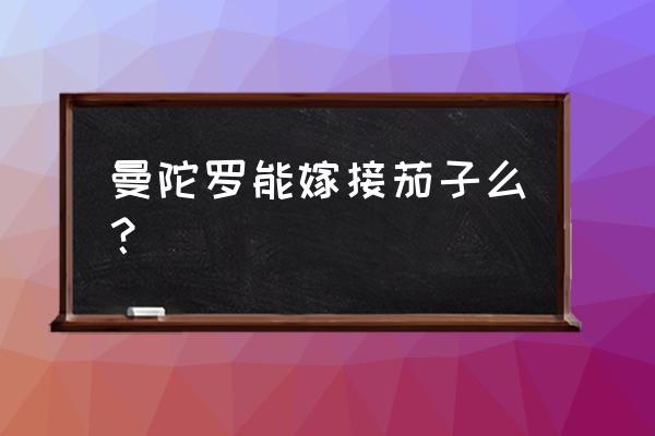 茄子根结线虫用什么药防治 曼陀罗能嫁接茄子么？