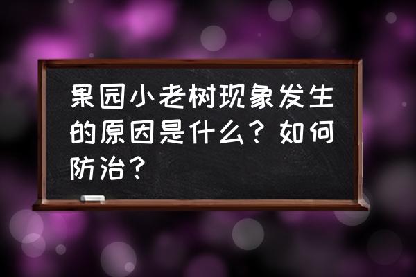 青苹果竹芋叶子枯萎怎么办 果园小老树现象发生的原因是什么？如何防治？