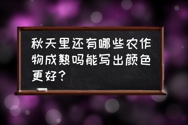 秋天阳台可以种什么水果 秋天里还有哪些农作物成熟吗能写出颜色更好？