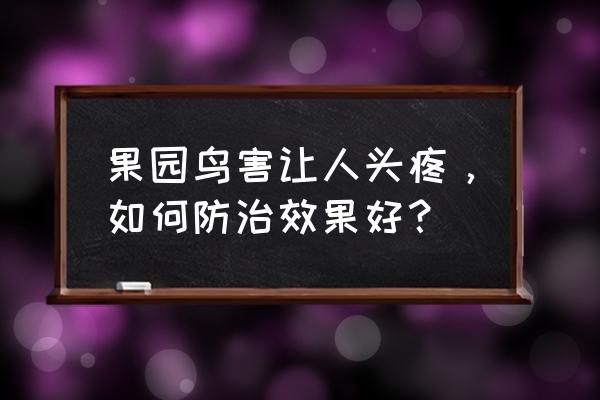 农田怎么驱鸟效果最好 果园鸟害让人头疼，如何防治效果好？