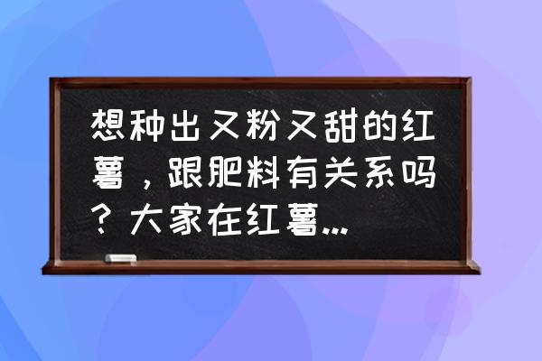 蜜薯育苗的最佳时间 想种出又粉又甜的红薯，跟肥料有关系吗？大家在红薯种植管理中，有什么招吗？