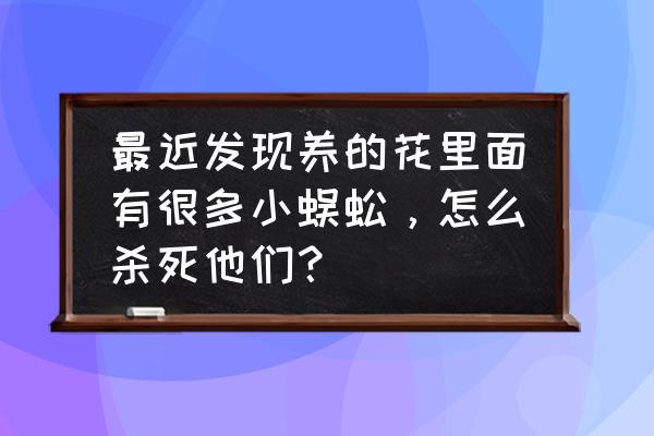 白术死棵烂根打什么药 最近发现养的花里面有很多小蜈蚣，怎么杀死他们？