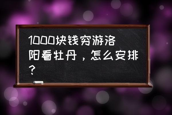 自驾去洛阳看牡丹攻略 1000块钱穷游洛阳看牡丹，怎么安排？