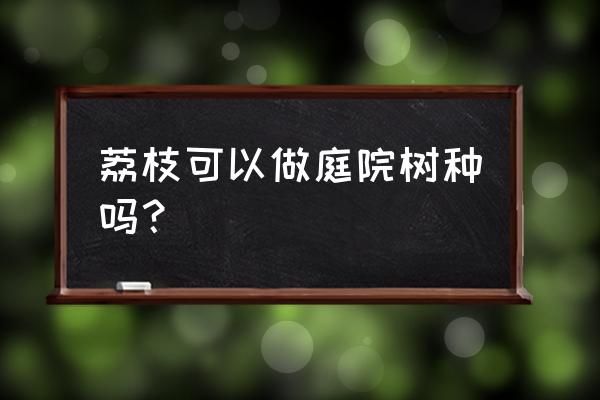 家庭盆栽荔枝 荔枝可以做庭院树种吗？