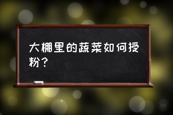 大棚种菜人工授粉怎么弄 大棚里的蔬菜如何授粉？