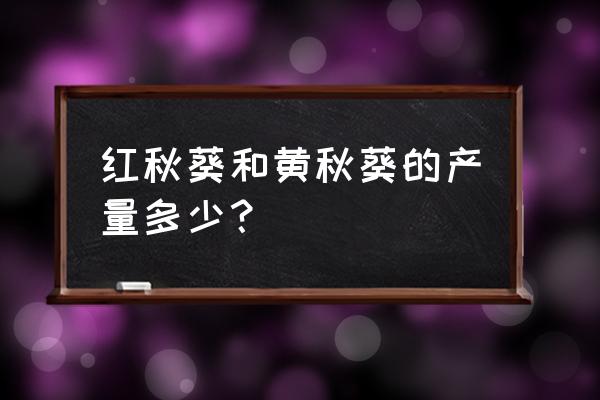 黄秋葵施什么肥最好 红秋葵和黄秋葵的产量多少？