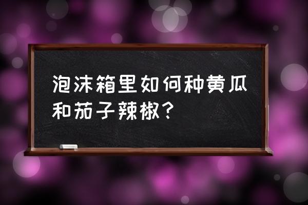 泡沫箱无土种菜方法教程 泡沫箱里如何种黄瓜和茄子辣椒？