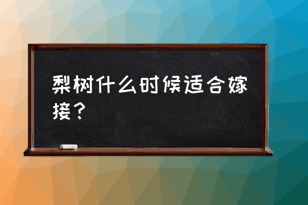 什么季节嫁接果树最合适 梨树什么时候适合嫁接？