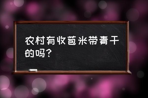 青柑种植时间和方法 农村有收苞米带青干的吗？