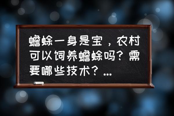 蟾蜍养殖许可证怎么办 蟾蜍一身是宝，农村可以饲养蟾蜍吗？需要哪些技术？是否需要办理养殖许可证？