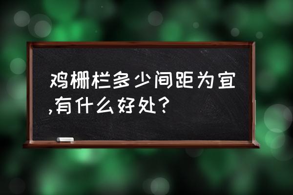 户外散养鸡围墙怎么弄 鸡栅栏多少间距为宜,有什么好处?