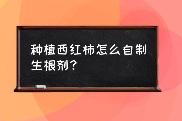 番茄杂菌菇煲的做法大全 种植西红柿怎么自制生根剂？