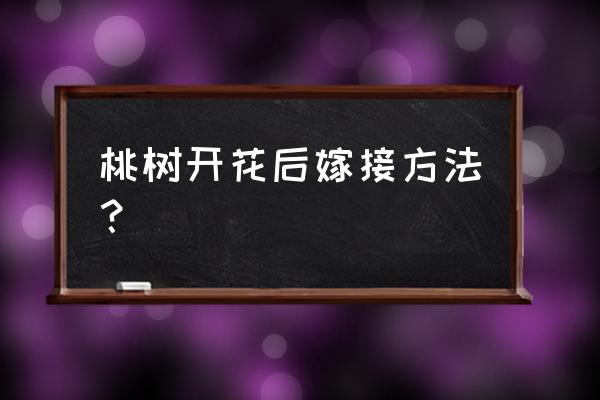 桃树钻孔嫁接的最佳方法 桃树开花后嫁接方法？