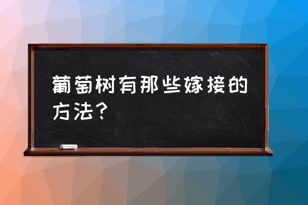 嫁接葡萄的最佳方法 葡萄树有那些嫁接的方法？