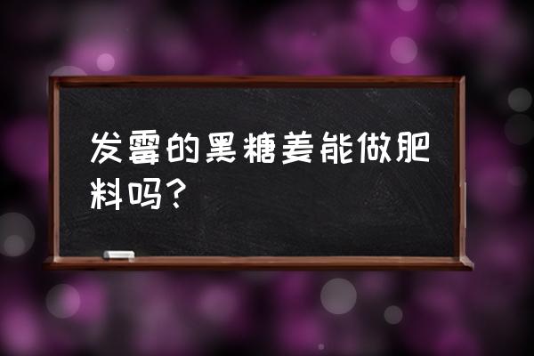 姜最怕什么肥料呢 发霉的黑糖姜能做肥料吗？