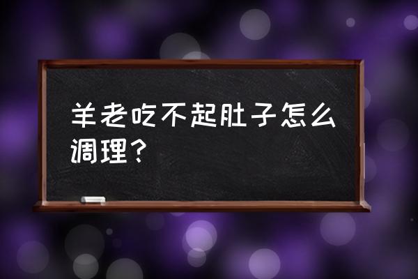 梦幻西游手游超级神羊怎么加点 羊老吃不起肚子怎么调理？