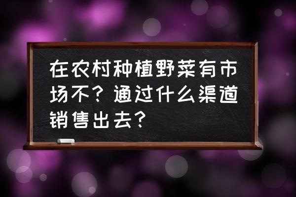 干辣椒农户怎样出售 在农村种植野菜有市场不？通过什么渠道销售出去？