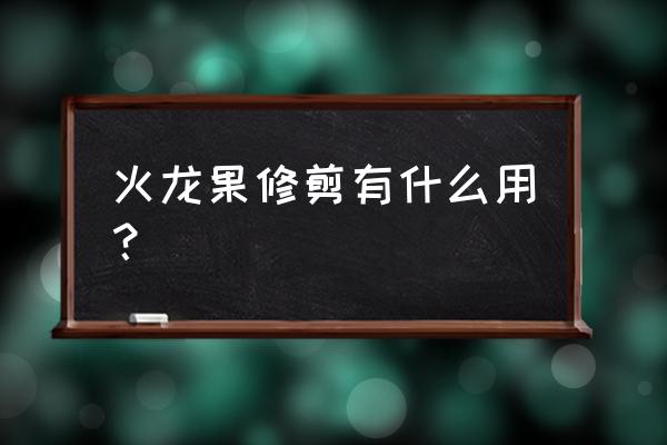 火龙果可以粗加工吗 火龙果修剪有什么用？