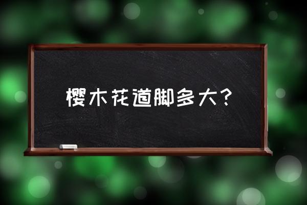 怎样画穿着运动服的动漫人物 樱木花道脚多大？