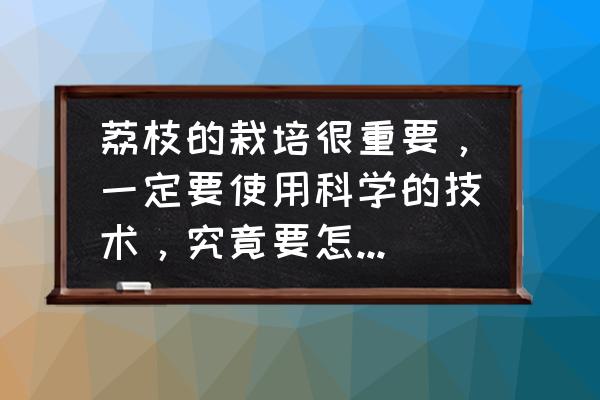 荔枝的种子怎么栽才能栽活 荔枝的栽培很重要，一定要使用科学的技术，究竟要怎样培育呢？