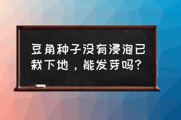 四季豆留中间和上面的种子可以吗 豆角种子没有浸泡已栽下地，能发芽吗？