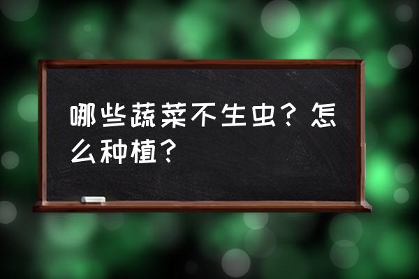 蔬菜种子快速播种方法 哪些蔬菜不生虫？怎么种植？