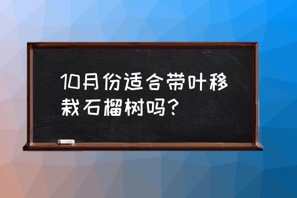 石榴树10月份移栽好吗 10月份适合带叶移栽石榴树吗？