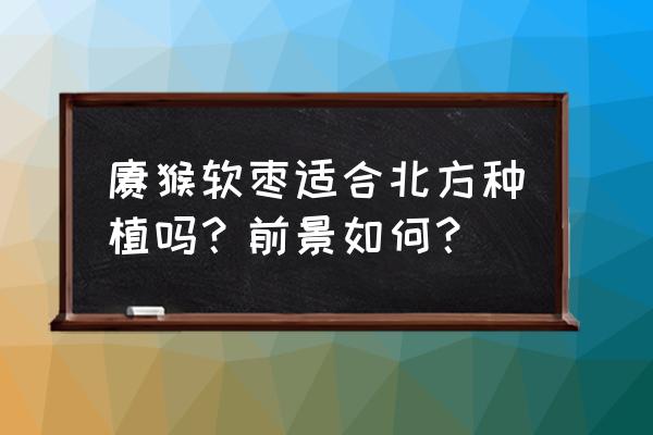 软枣猕猴桃有什么营养 猕猴软枣适合北方种植吗？前景如何？