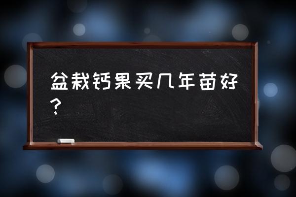 钙果树苗怎么种最好 盆栽钙果买几年苗好？